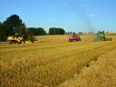 obr