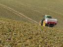 obr